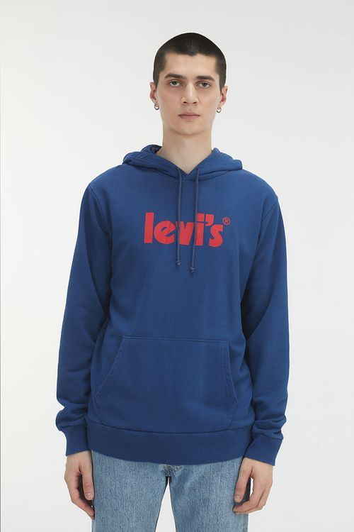 Relaxed Graphic Hoodie "Poster Logo"